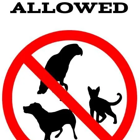 Apartment - Casa Marina